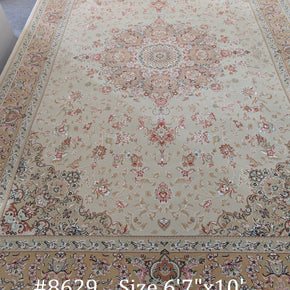 #8629 Persian