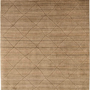 Hand Knotted Rug #12116